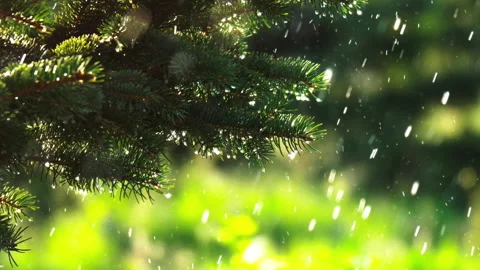Rain on a sunny day Stock Footage 160842756
