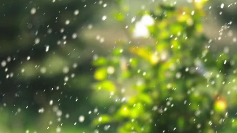 Rain on a sunny day Stock Footage 193908271