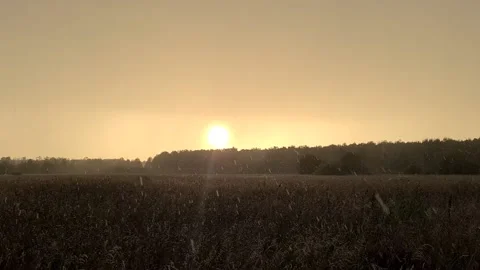 Rain at sunset in the countryside Stock Footage 206700149