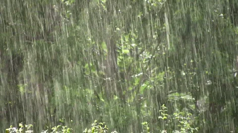 Rain in sunshine 動画素材 488656
