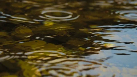 Rain on the surface of the transparent river 2 Stock Footage 80281438