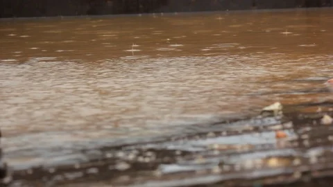 The rain of the Syrian war 스톡 동영상 113693629