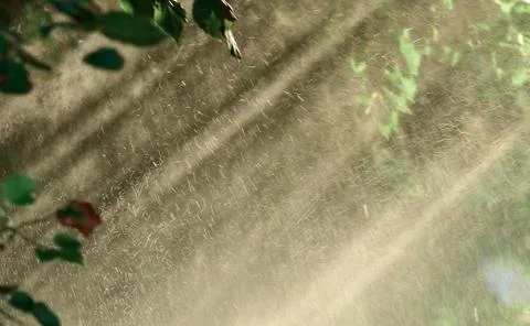 Rain through sunshine background. Sun shower water spray Stock Photos