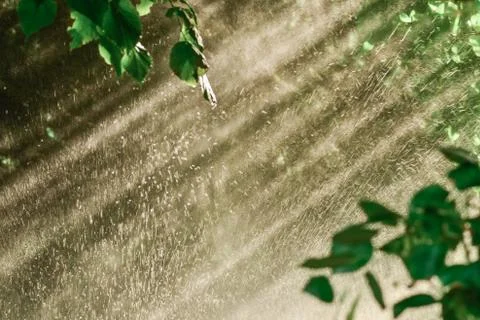 Rain through sunshine background. Sun shower water spray Stock Photos
