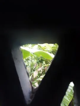 Rain through window  Stock Photos