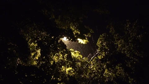 Rain with thunder and lightning. Stock Footage 91810413