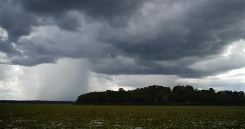 Rain, time lapse, falls from roiling, dark clouds over swampy lake Stock Footage 137548336