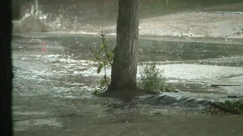 Rain Time Lapse Video stock 7751656