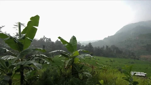 Rain time lapse Stock Footage 239120736