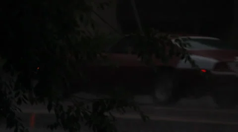 Rain tree cars Stock Footage 26120054