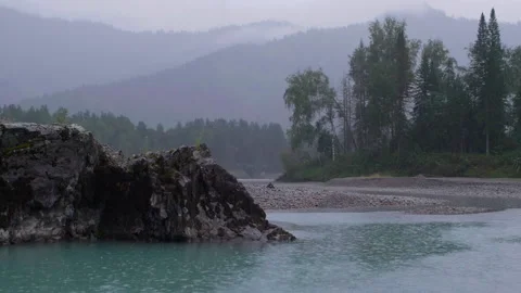 Rain, trees and mountain river Stock Footage 190655946