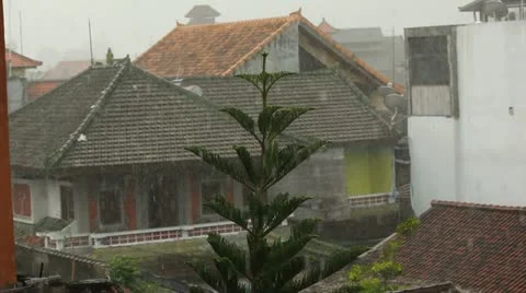 Rain in a tropical city 스톡 동영상 22114178
