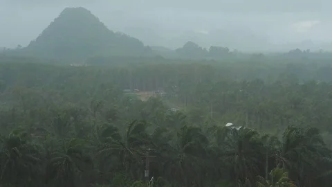 Rain in tropical rainforest. View on the mountain. Stock Footage 84768843