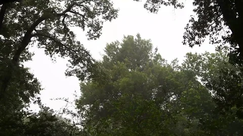 Rain in Tyler Texas. Video stock 77285162