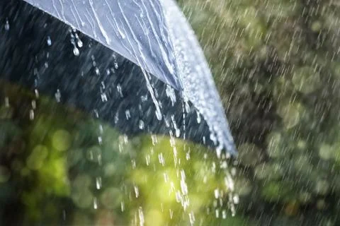 Rain on umbrella Stock Photos