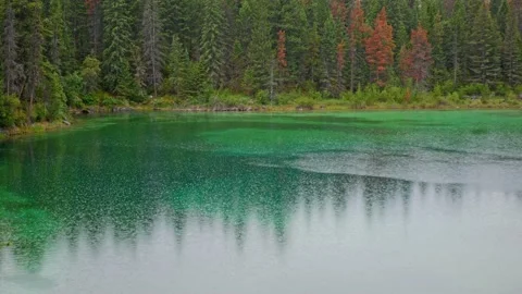 Rain in The Valley of The Five Lakes in Jasper National Park in Canada 4K Stock Footage 154973324