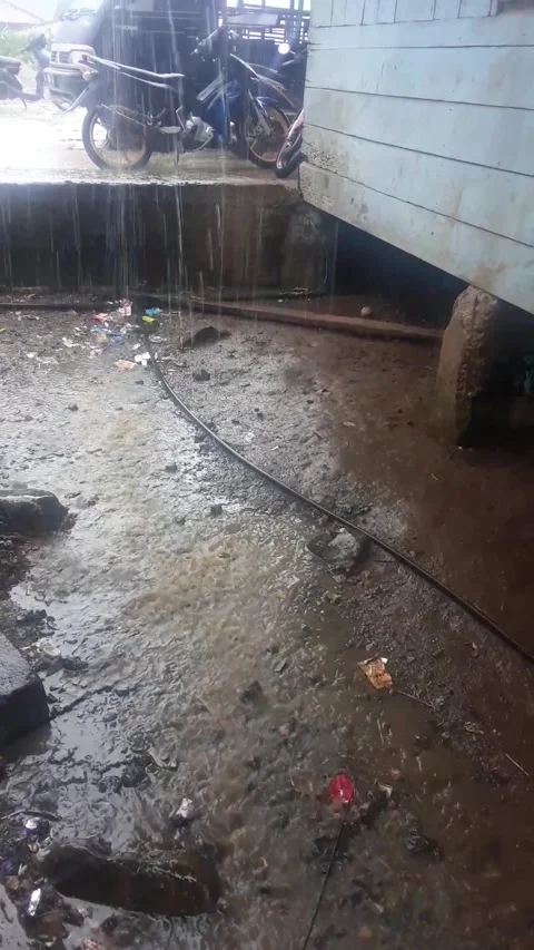 Rain very hard Stock Footage 209465526