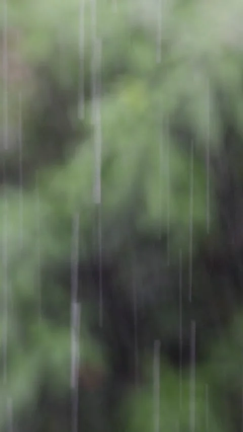 Rain View Stock Footage 170926370