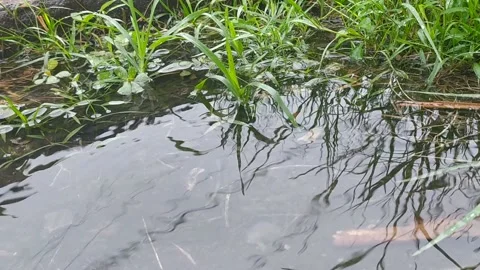 Rain view Stock Footage 201315823