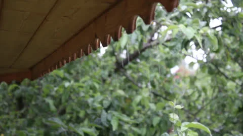 Rain in the village Stock Footage 24739246