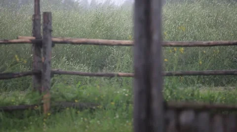 Rain in the village 库存影片 54815873