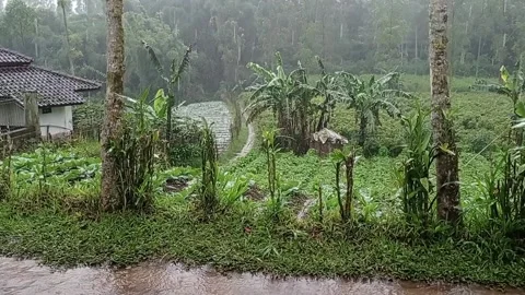 Rain In Village Stock Footage 234539413