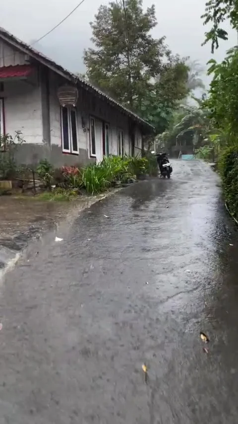 Rain in the village Stock Footage 307452537