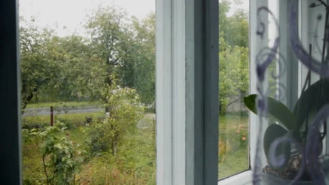 Rain in the village, the view through the window onto the garden Stock Footage 135695158