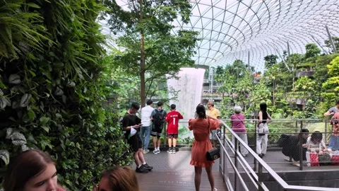 The Rain Vortex creates a calming center. Stock Footage 318266824