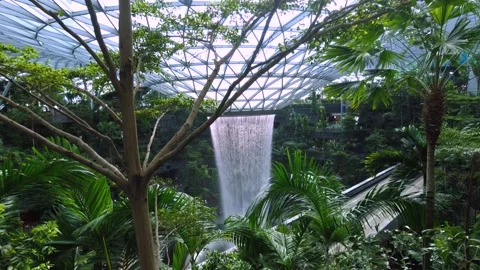 Rain Vortex in Jewel Changi Stock Footage 251836987