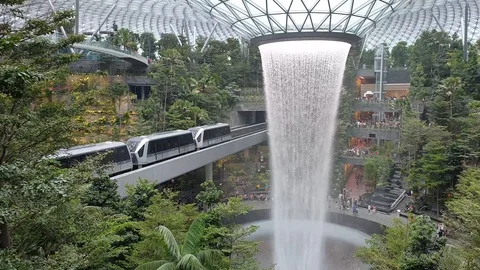 Rain Vortex at the Jewel Video stock 107046989