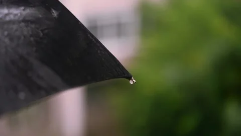 Rain walk in city. raindrops fall black umbrella and flow down from it. closeup. Stock-Footage 249433569