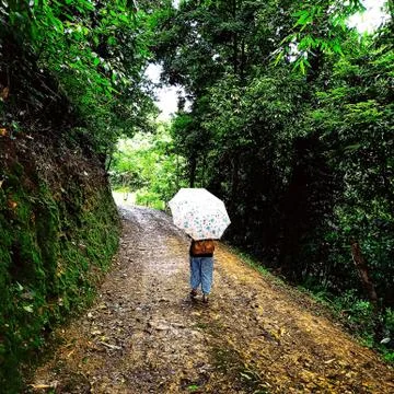 Rain walk Foto stock