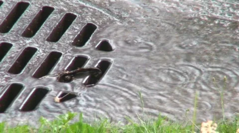Rain water canalization entry 2 Video stock 80638