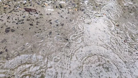 The rain water dripping on the ground Stock Footage 313751702