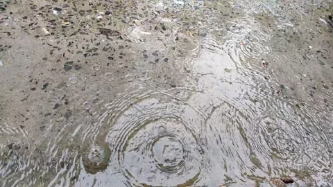 The rain water dripping on the ground Stock-Footage 313752138