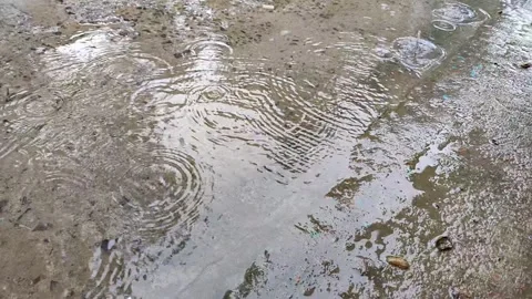 The rain water dripping on the ground Stock Footage 313752156