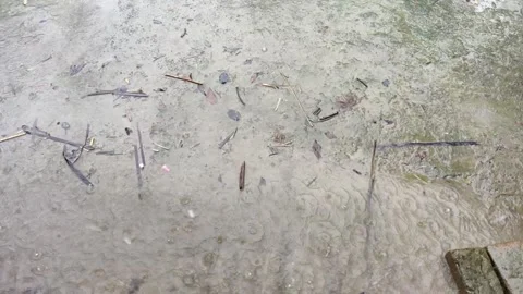 The rain water dripping on the ground Stock Footage 313752405