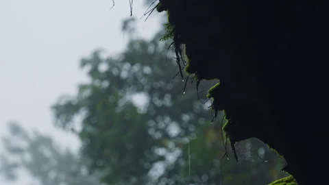 Rain water dripping from rustic thatched roof with green moss on rainy day Video stock 342905504