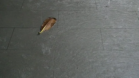 Rain water drop falling to the floor in heavy rain day. Stock Footage 118348058