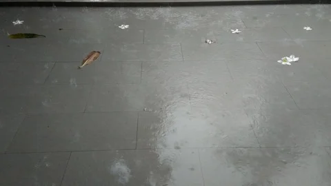 Rain water drop falling to the floor in heavy rain day. Stock Footage 124015465