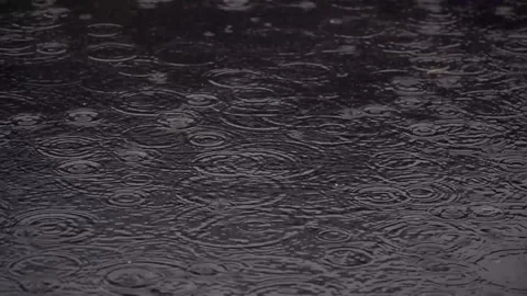 Rain water drop falling to the floor in rainy season,blue color tone Stock Footage 159054372