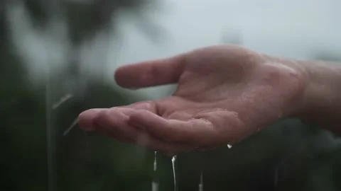 Rain water drop to the hand man with green nature on background, environment Stock Footage 188746149