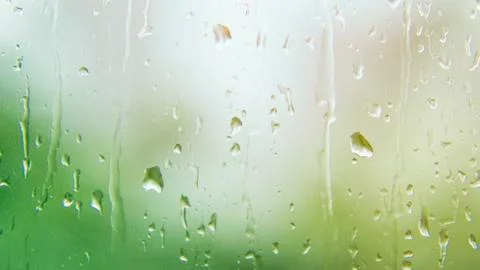Rain water drop Stock Photos
