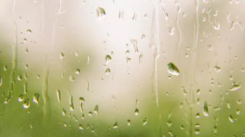 Rain water drop Stock Photos