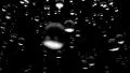 Rain water droplets close up falling DOF slow motion loop HD Footage