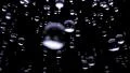 Rain water droplets close up falling DOF slow motion loop blue tint HD Footage