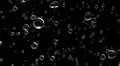 Rain water droplets close up falling away from camera DOF slow motion loop HD Footage