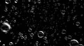 Rain water droplets close up falling towards camera DOF slow motion loop HD Footage