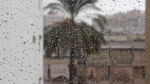 Rain Water Droplets Video stock 308751745